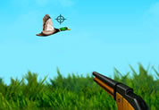 The Duck Hunter The Duck Hunter